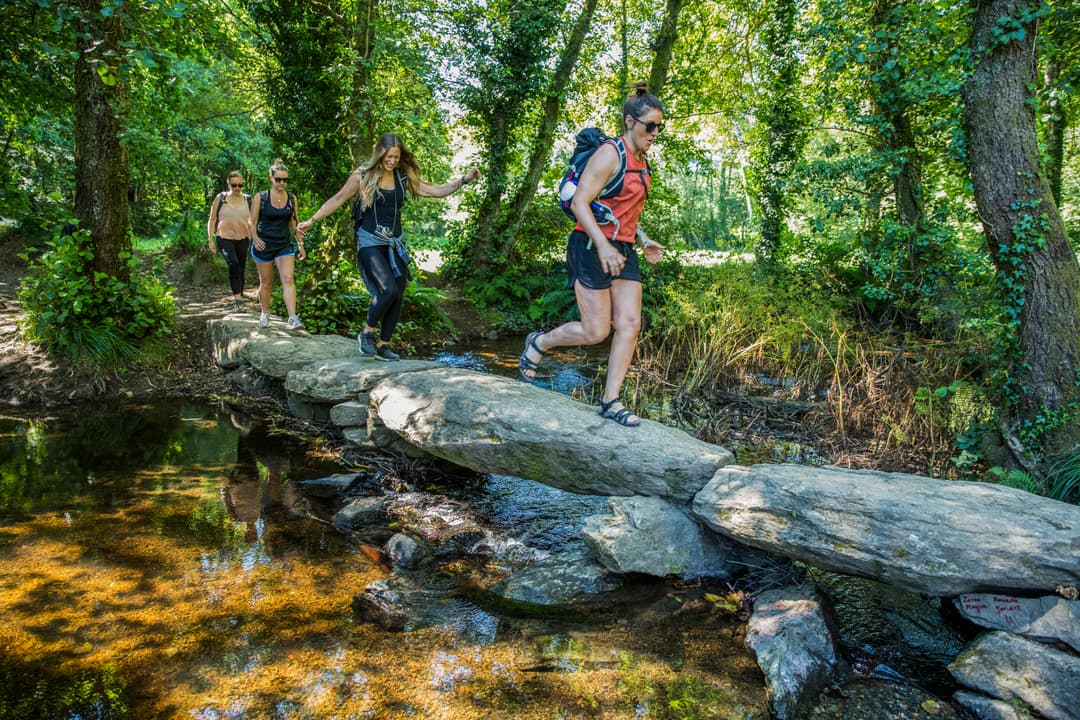 Camino de Santiago Encompassed