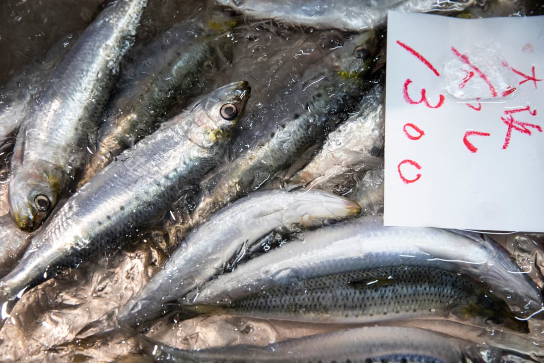 Journeys: Iconic Japan