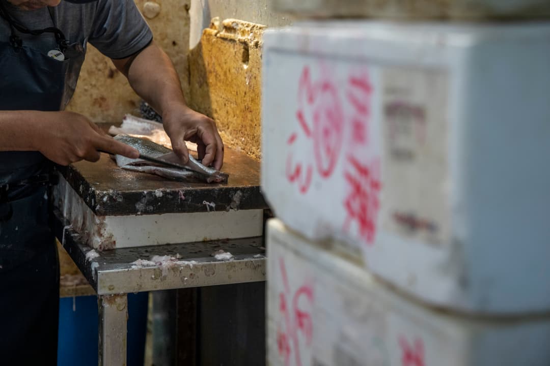 Journeys: Iconic Japan