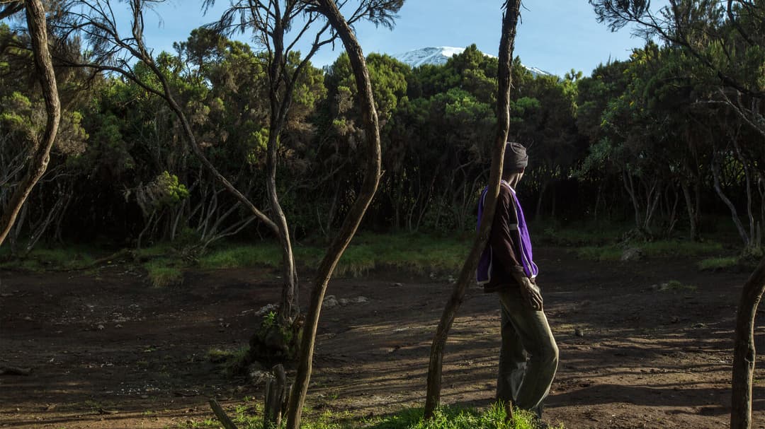 Mt Kilimanjaro Trek - Lemosho Route