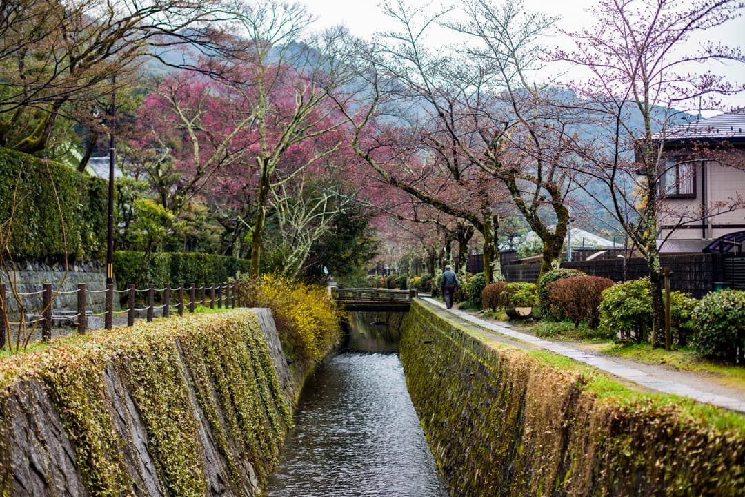 Absolute Active Japan