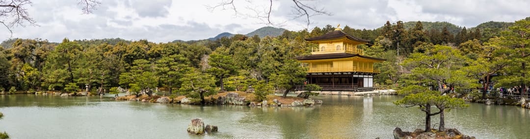 Absolute Active Japan