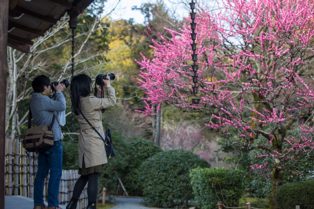 Absolute Active Japan