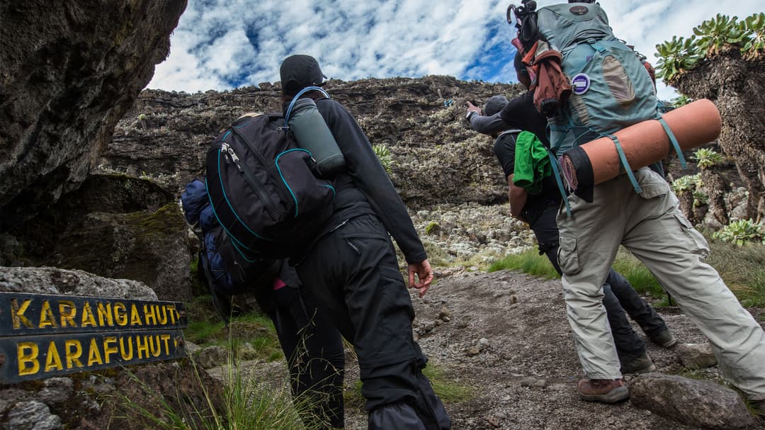 Mt Kilimanjaro Trek - Lemosho Route
