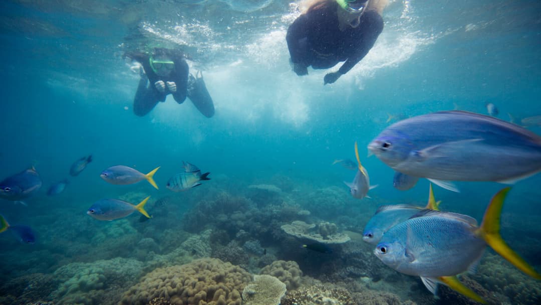 Australia and New Zealand: Surfing & National Parks