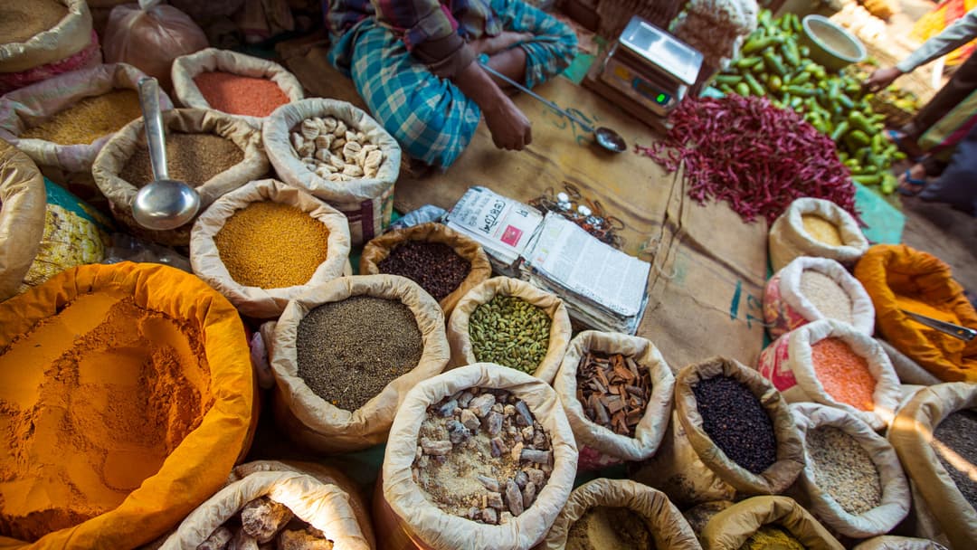 Essential India & Maldives Sailing