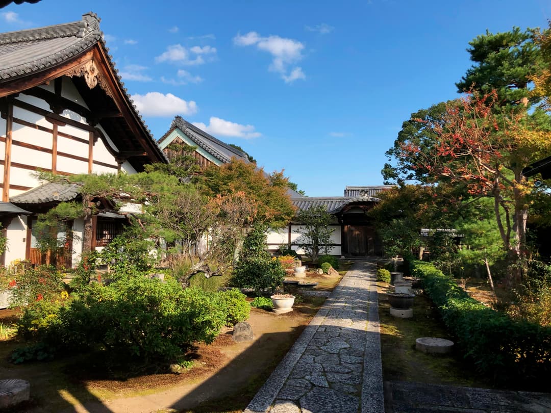 Absolute Active Japan