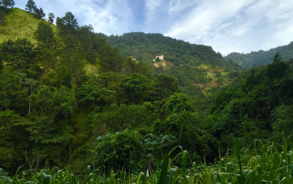 curated global travel activities