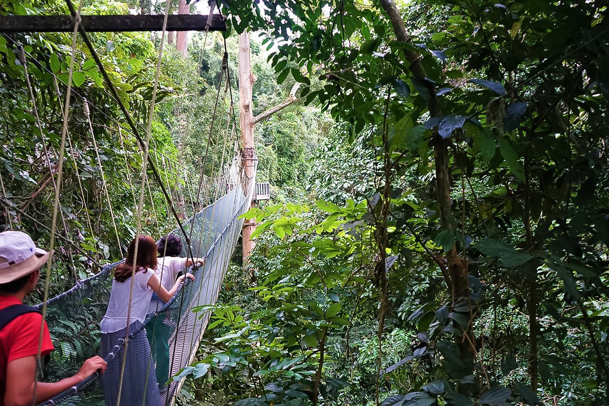 Indigenous Dayak communities