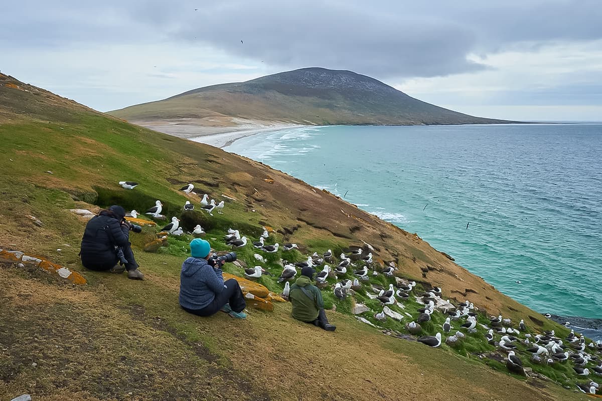 Experience authentic British heritage in the Falkland Islands