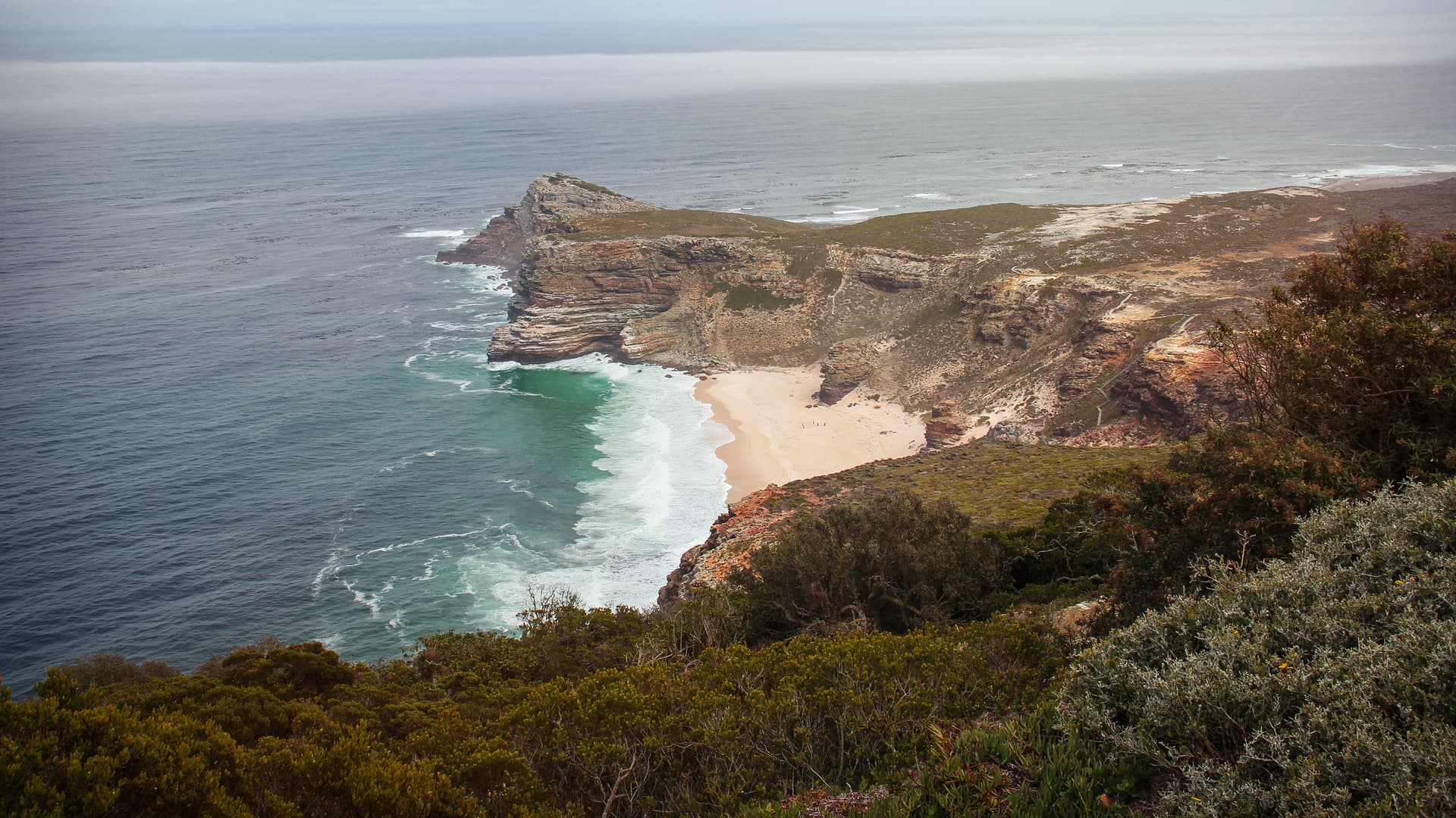 Cape & Dunes Discoverer