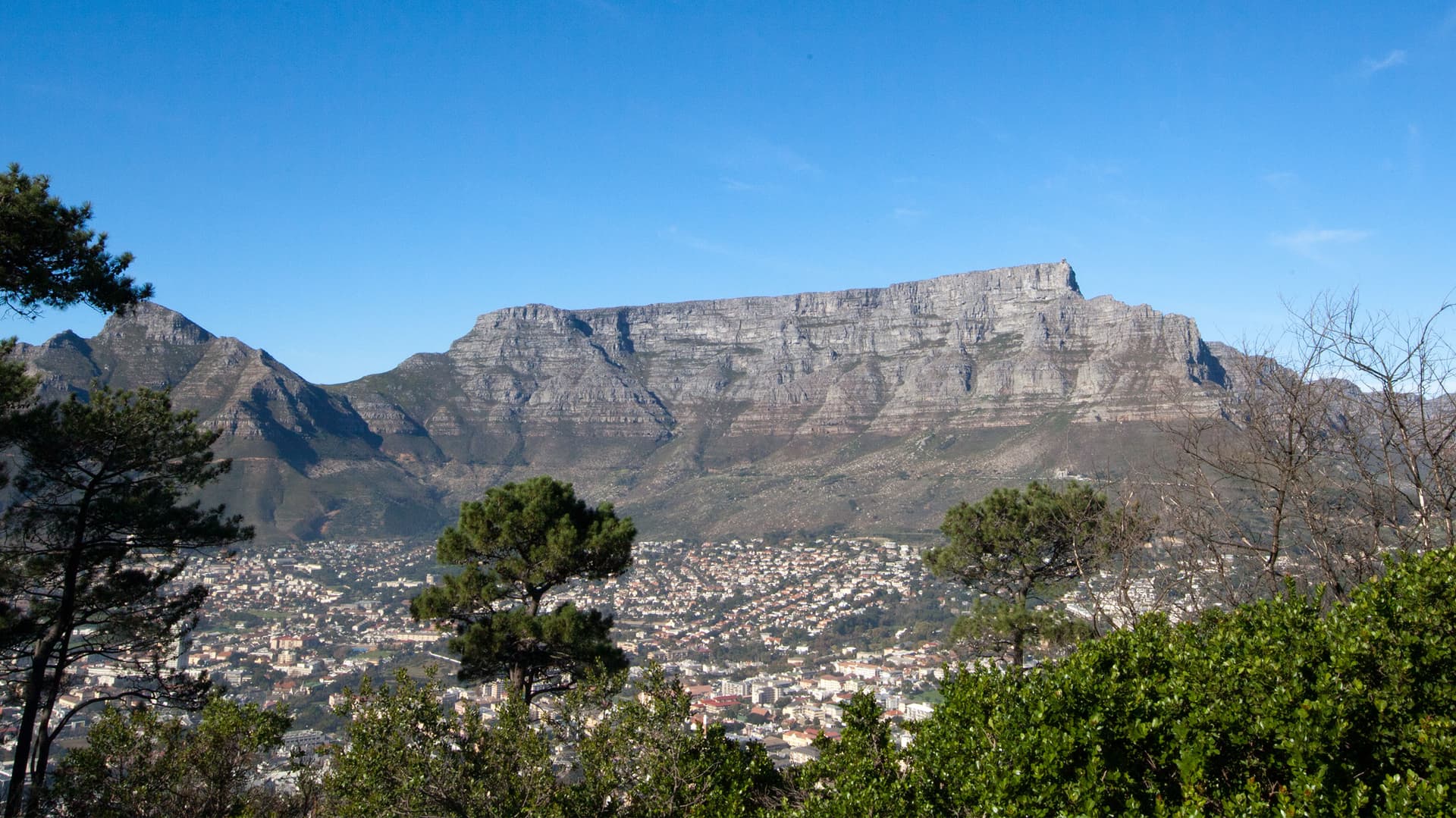 Cape & Dunes Southbound: Desert Camping & Safari Drives