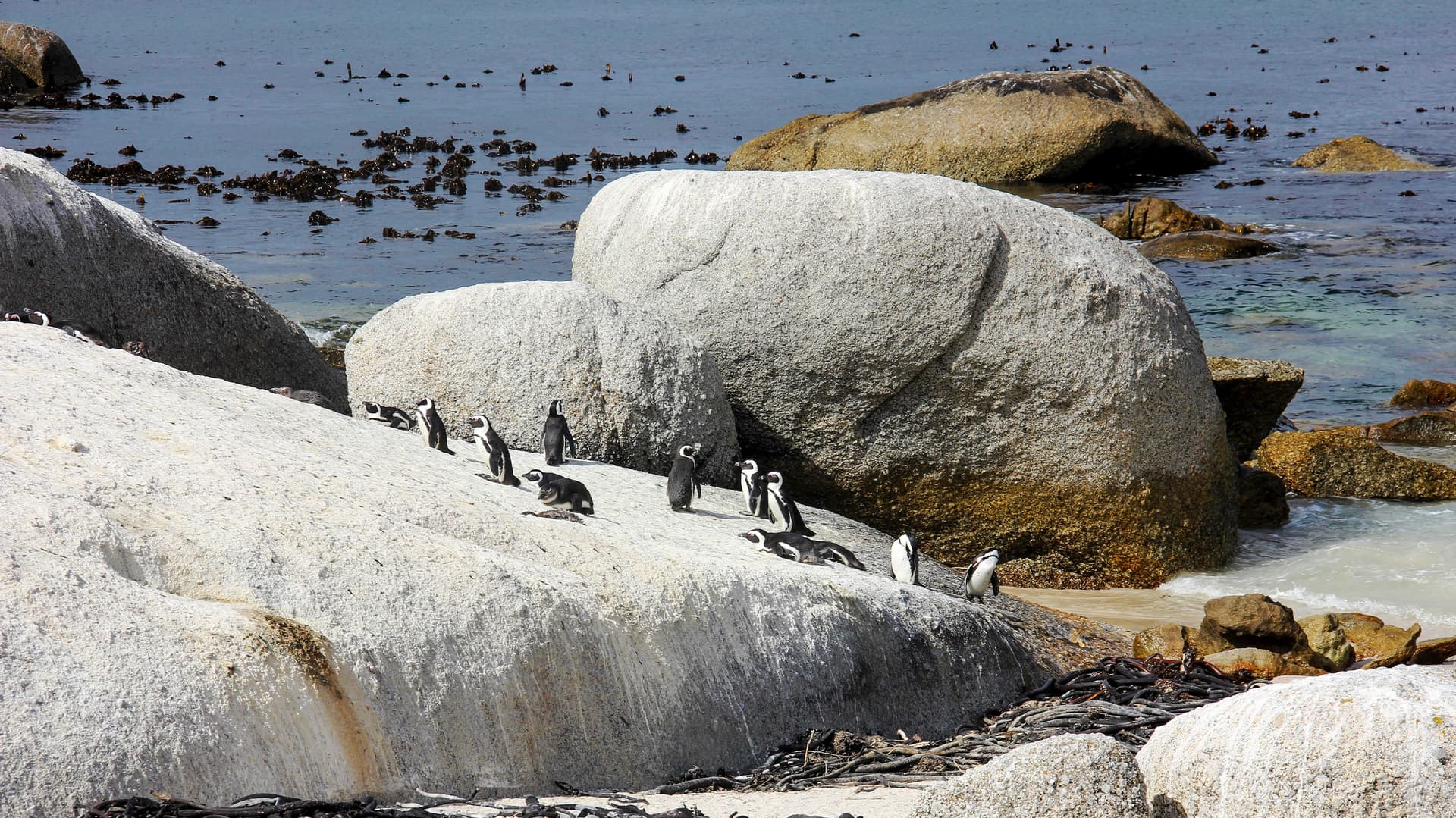 Solo-ish South Africa