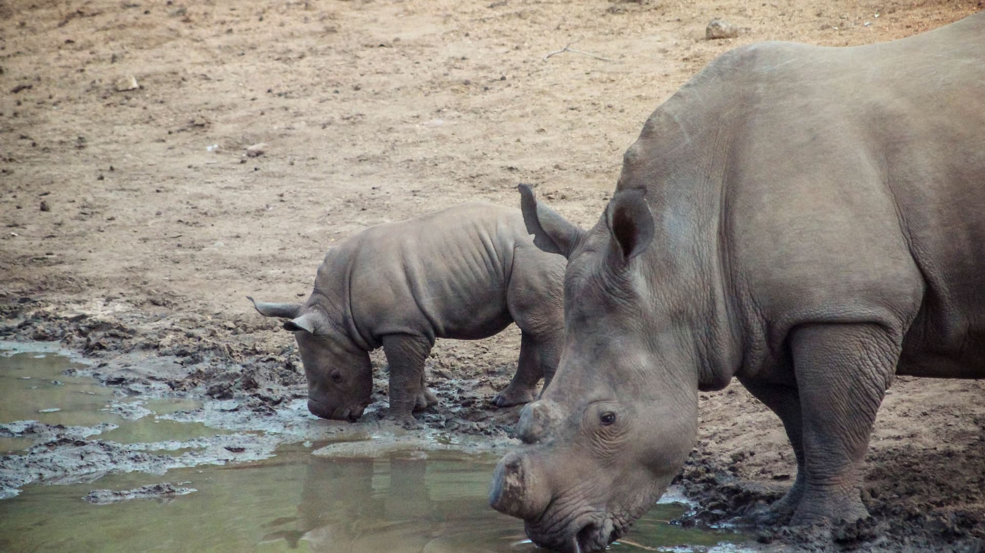 Southern Africa Overland Safari & Participation Camping