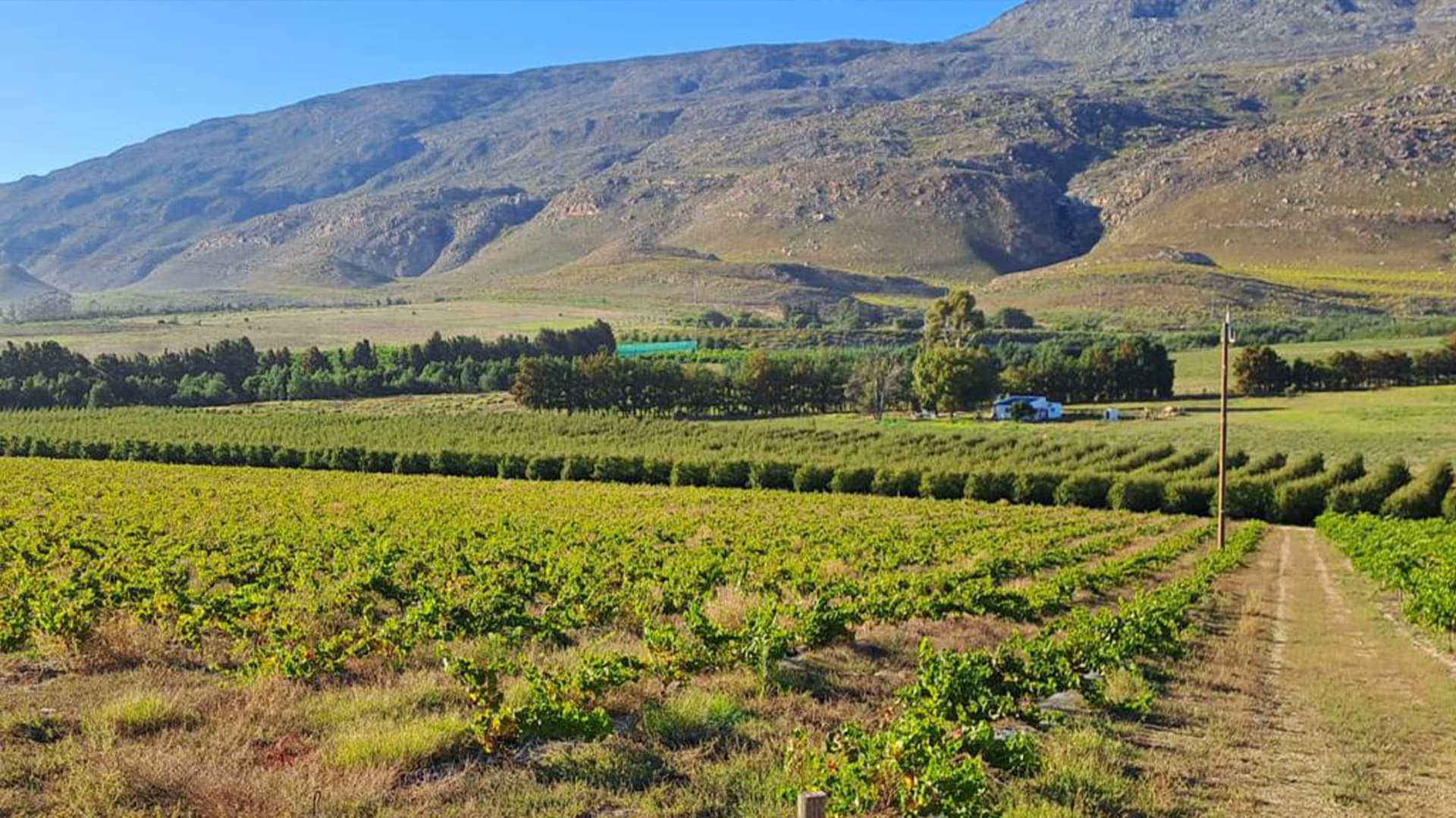 South Africa: The Garden Route