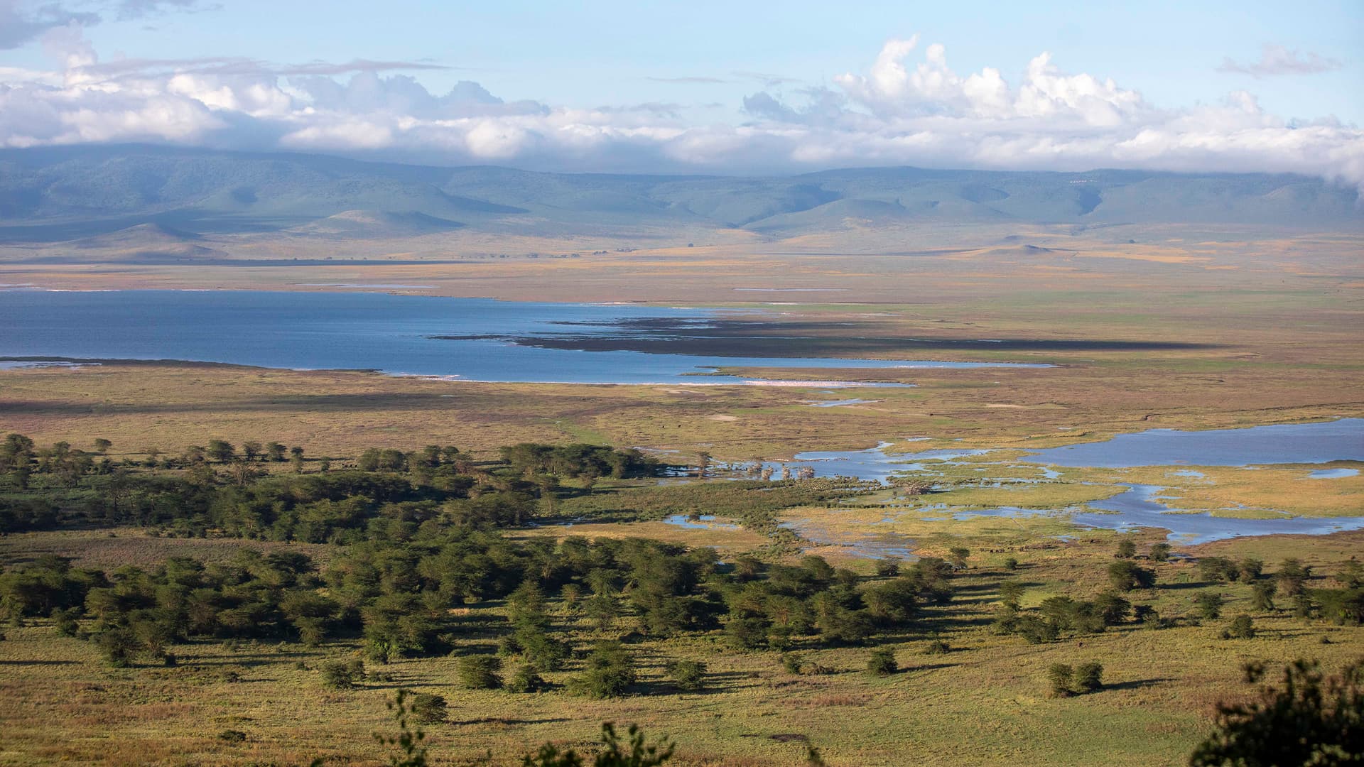 Kenya & Tanzania: Maasai Mara, Serengeti & Zanzibar Highlights