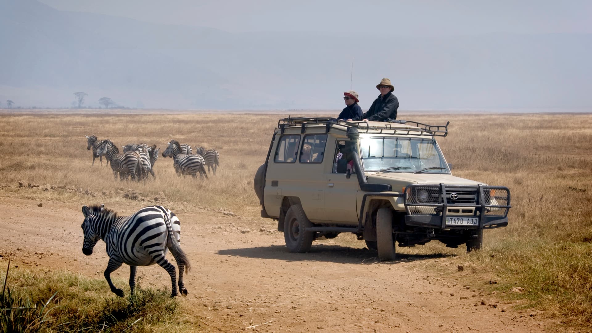 Tanzania Uncovered: Wildlife of the Serengeti & Ngorongoro Crater