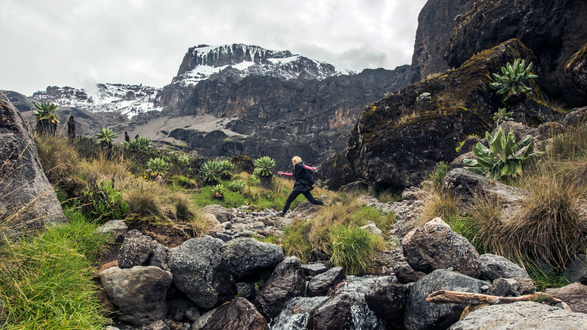 Kilimanjaro – Machame Route & Serengeti Adventure