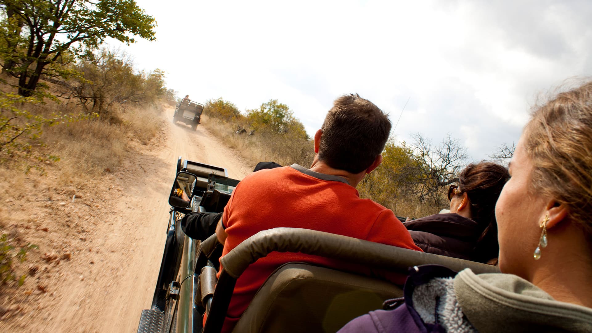 Ultimate African Safari: Kruger, Hwange, Chobe, & the Okavango Delta