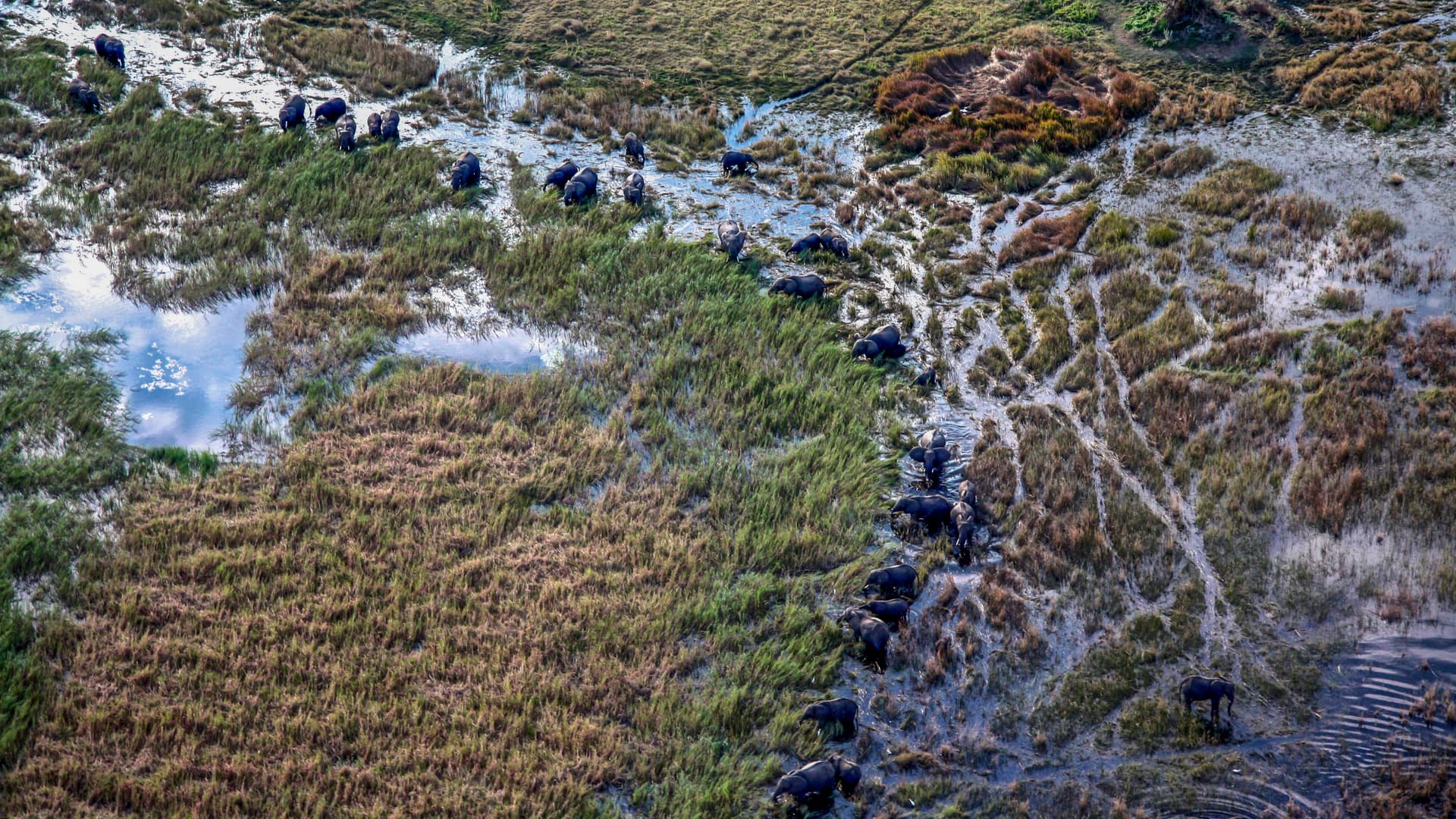 Journeys: Southern Africa Safari Experience