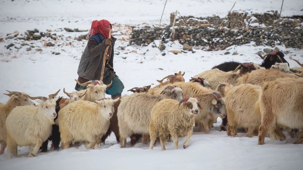 Kashmir to Ladakh: Where Valleys Meet the Sky