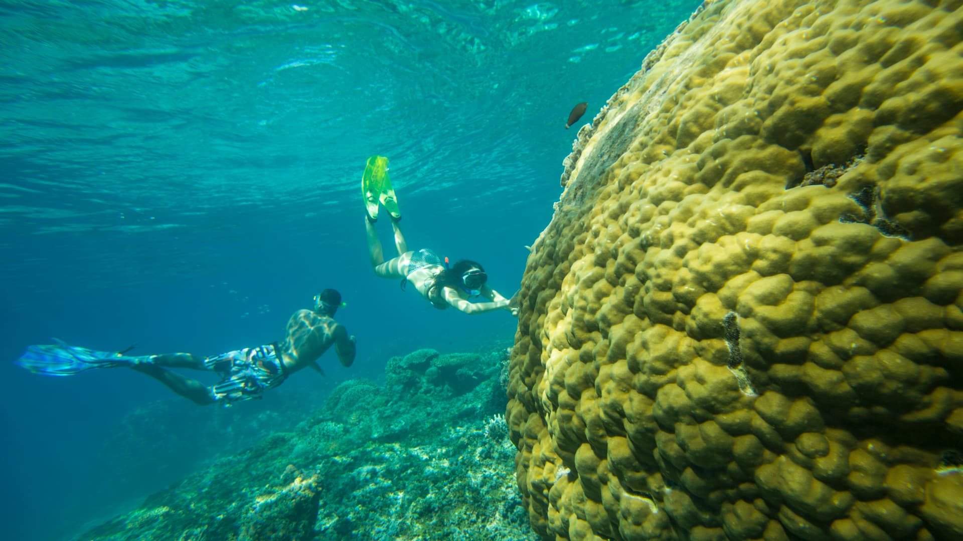 Lombok to Flores: The Hidden Path