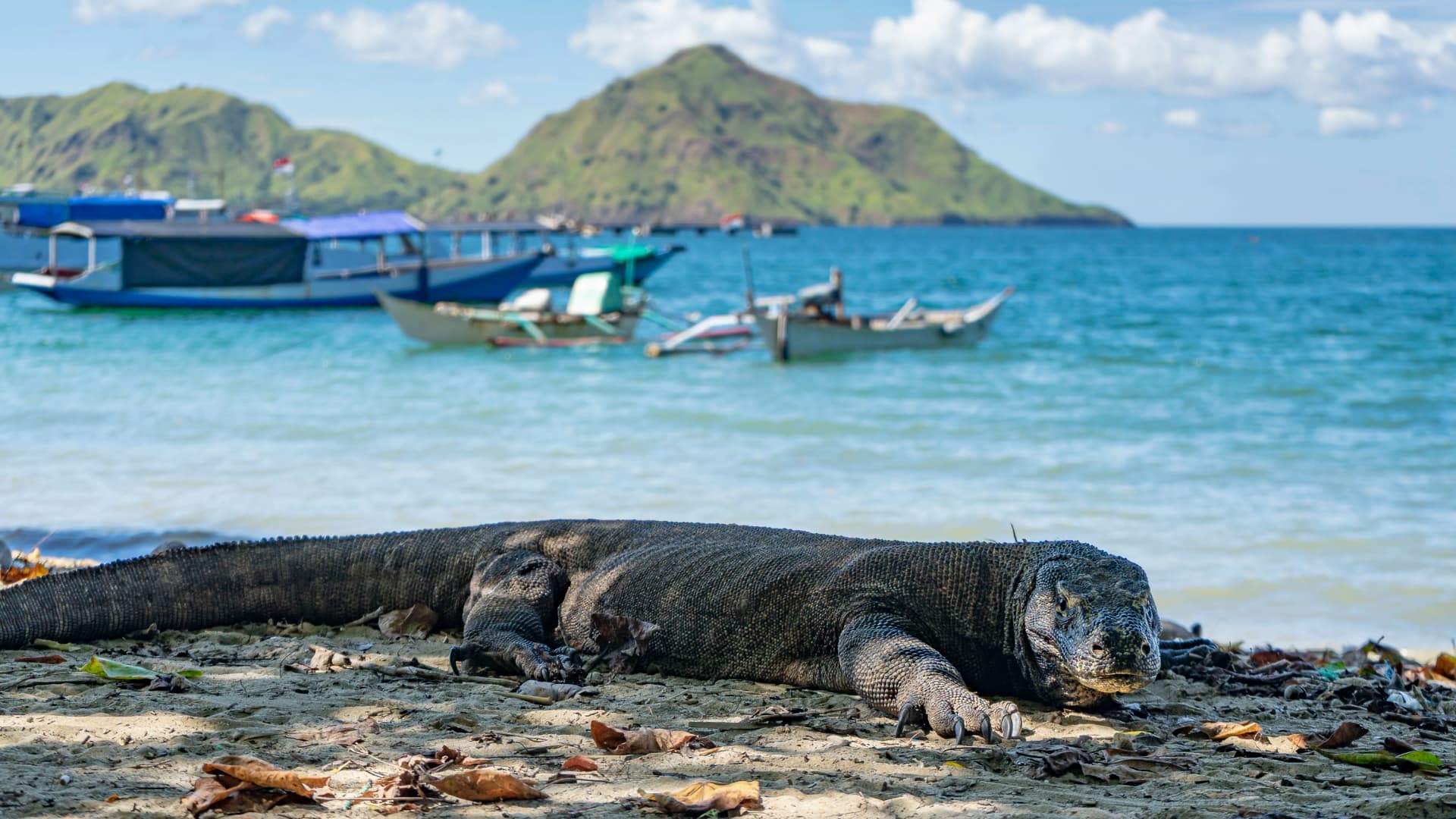 Bali to Flores: Trails, Tribal Villages & Dragon Lagoons