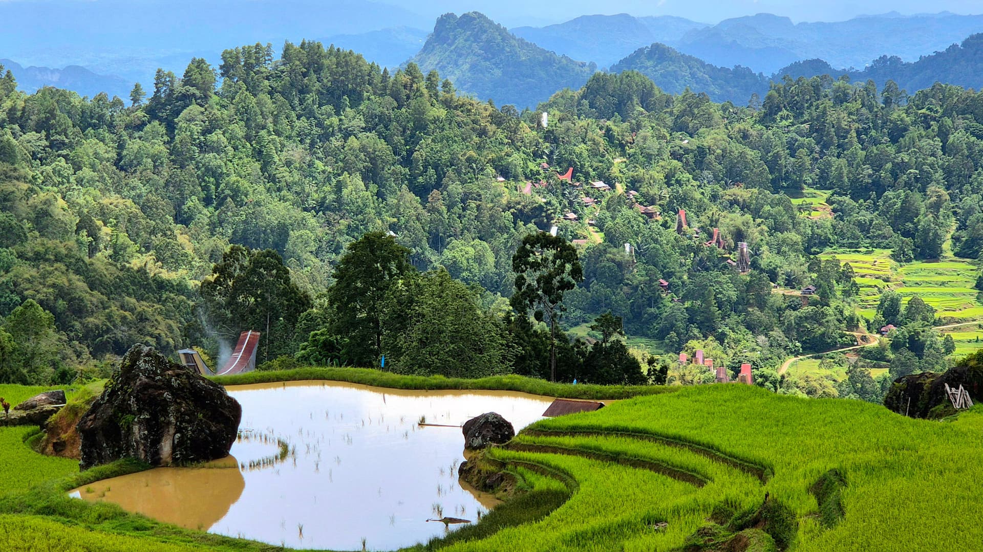Sulawesi Adventure: The Culture of Tana Toraja