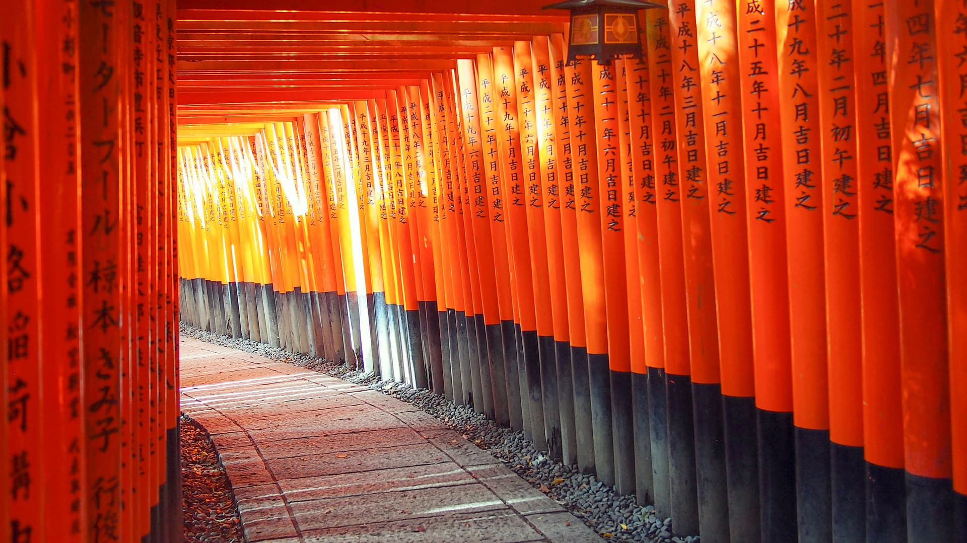 Active Japan: Kyoto to Tokyo Island Hopping