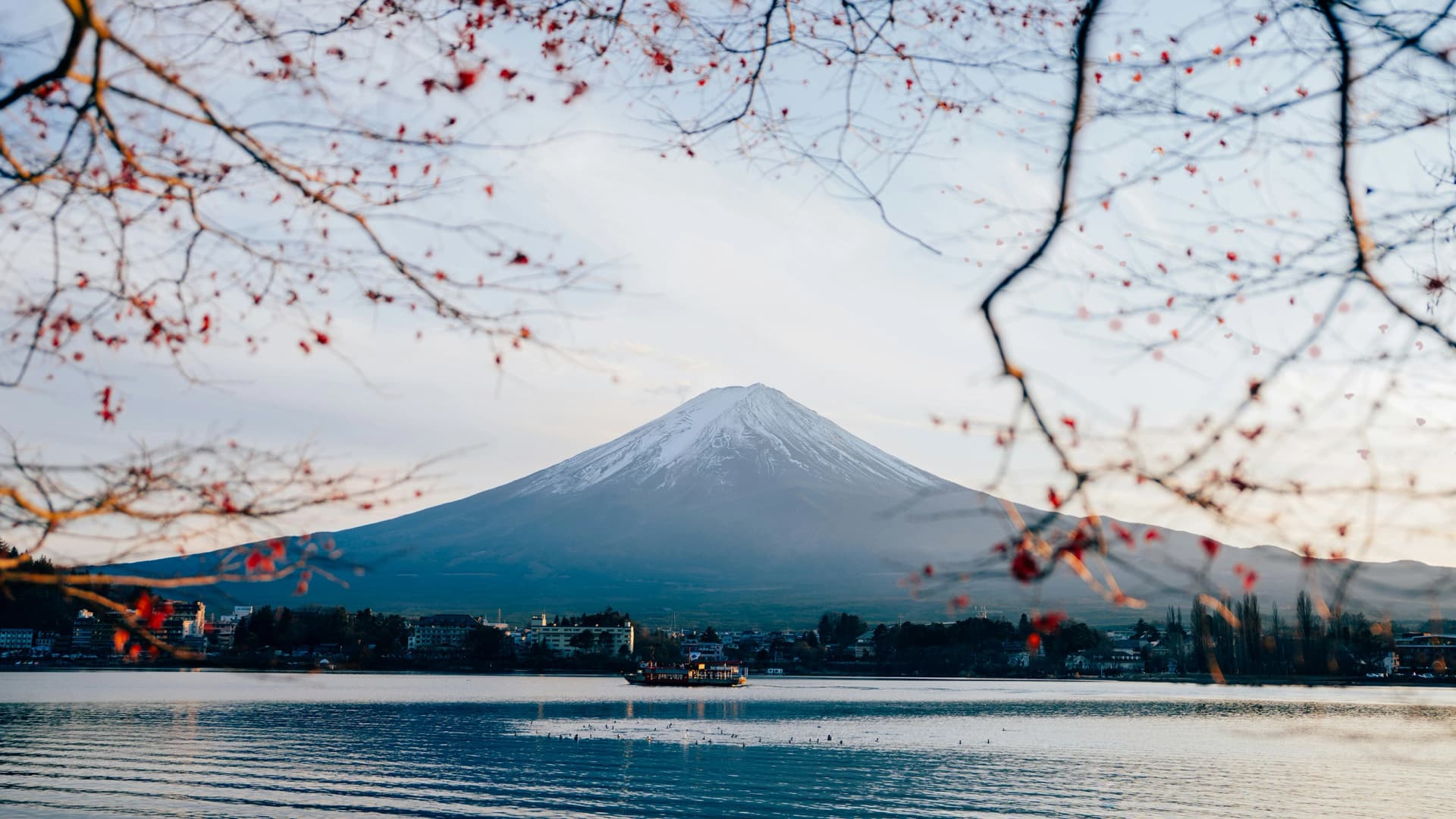 Signature: Japan's Tokyo, Kyoto & Osaka