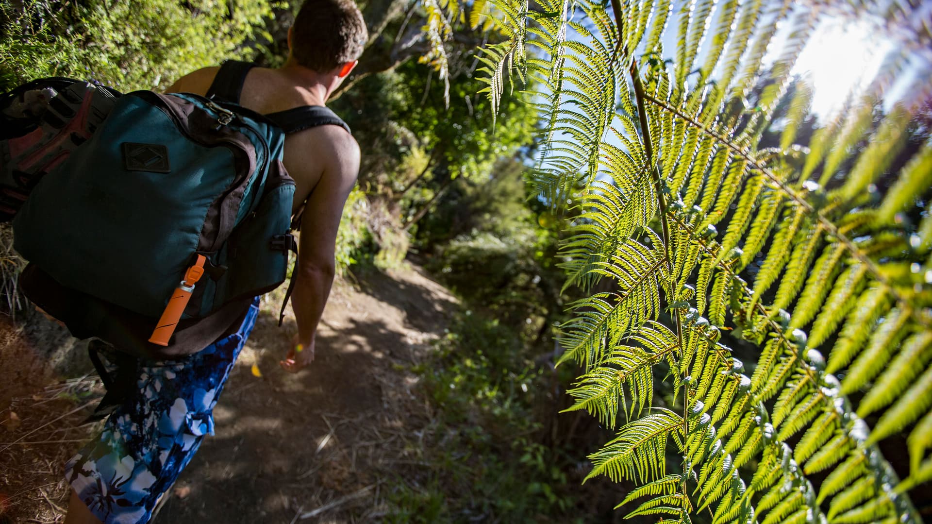 Australia And New Zealand: Bushwalks & Beaches