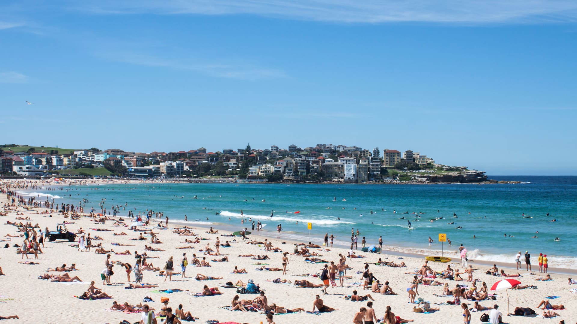 Australia & New Zealand: A Month Down Under