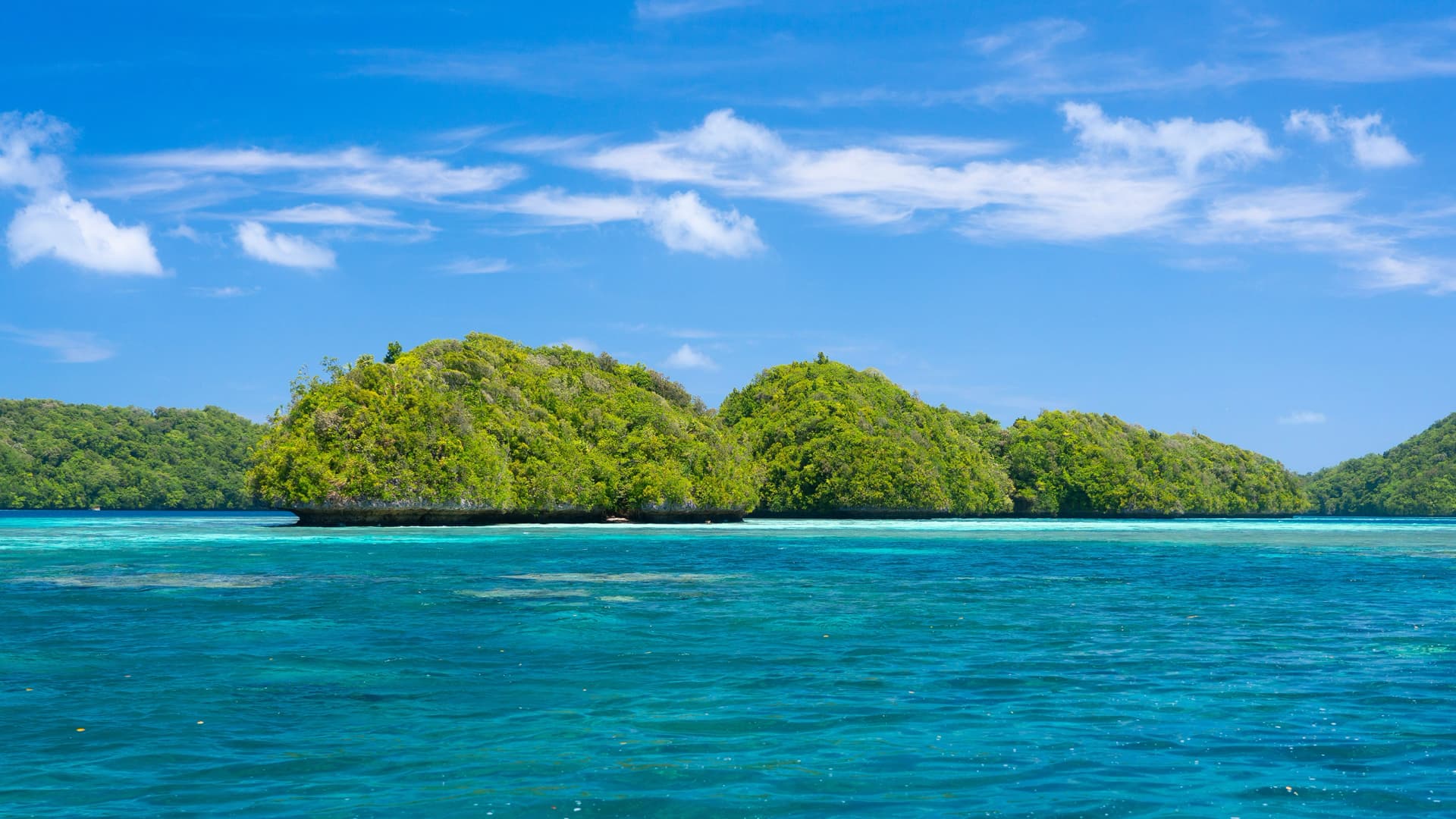 Signature: Palau’s Rock Islands & Underwater Serengeti