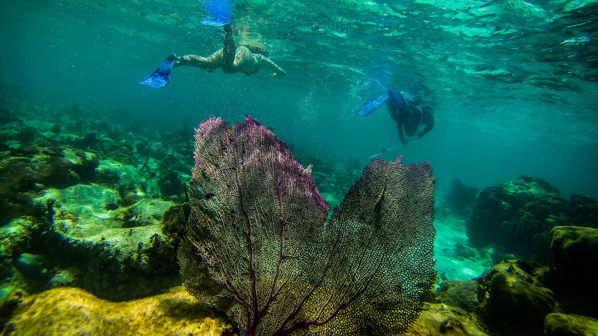 Journeys: Explore Belize