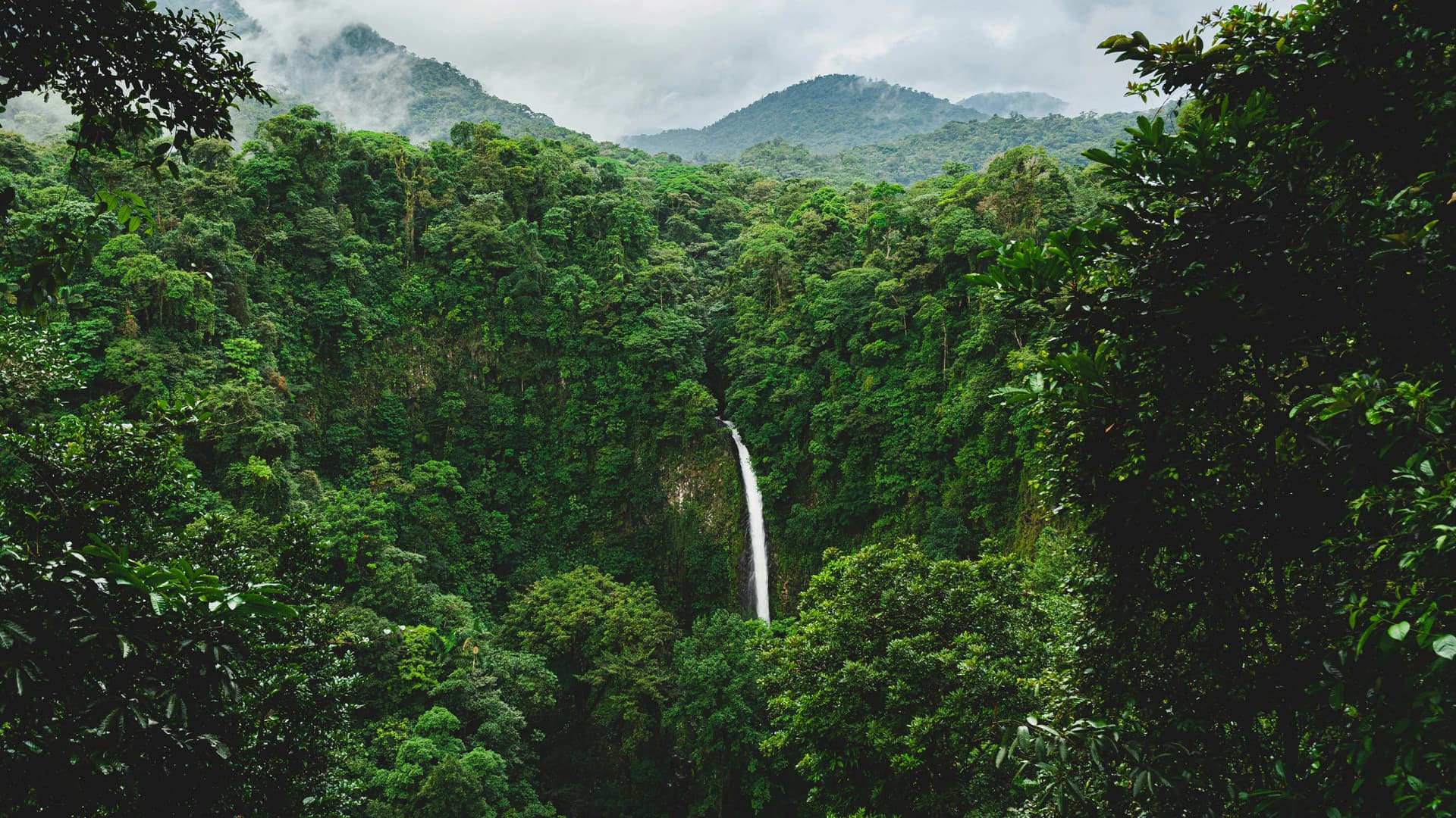 Signature: Costa Rica's Monteverde, Arenal & Guanacaste