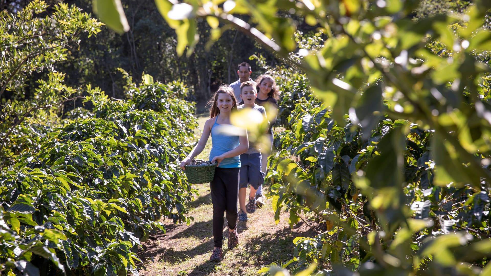 Costa Rica Family Journey: From Rainforest to Coast