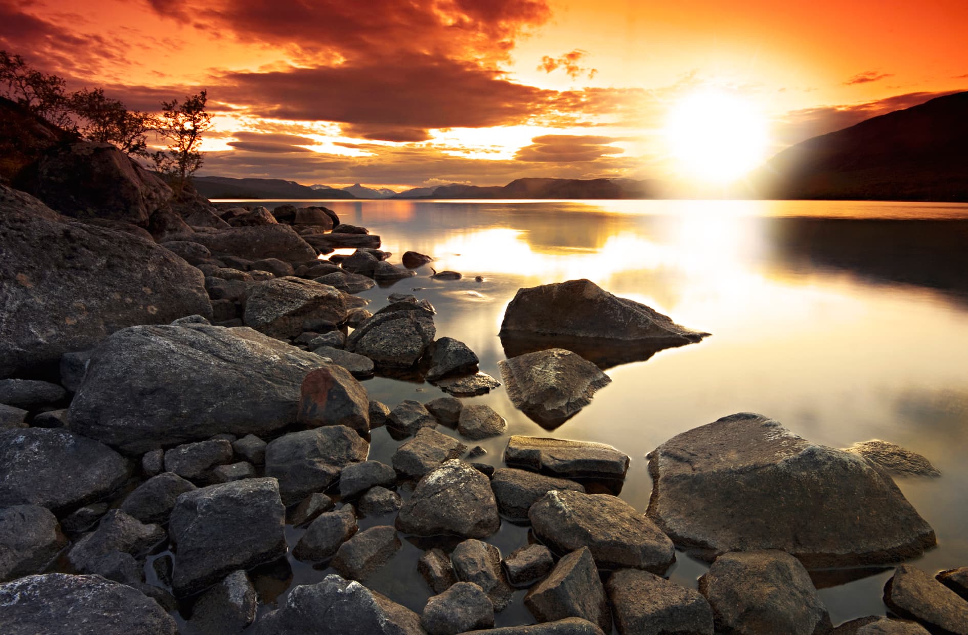 Summer in Lapland: A Family Adventure