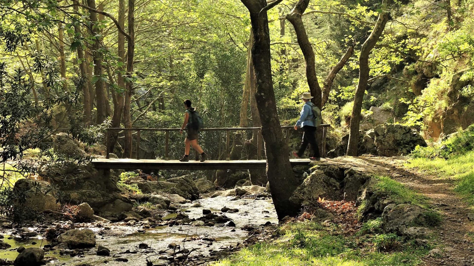 Hiking Crete: Gorges & Coastal Walks