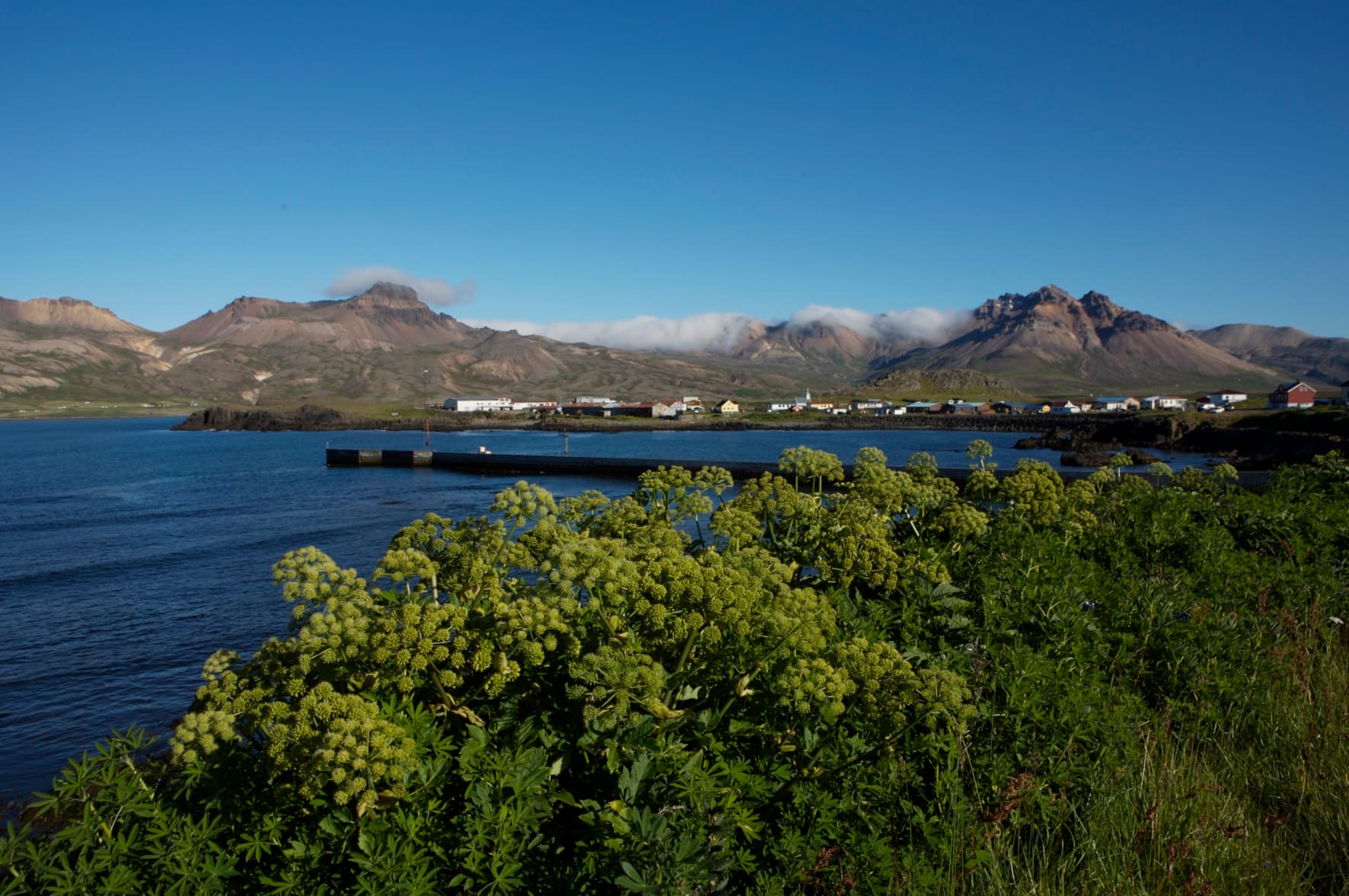 Local Living Iceland— Bakkagerði