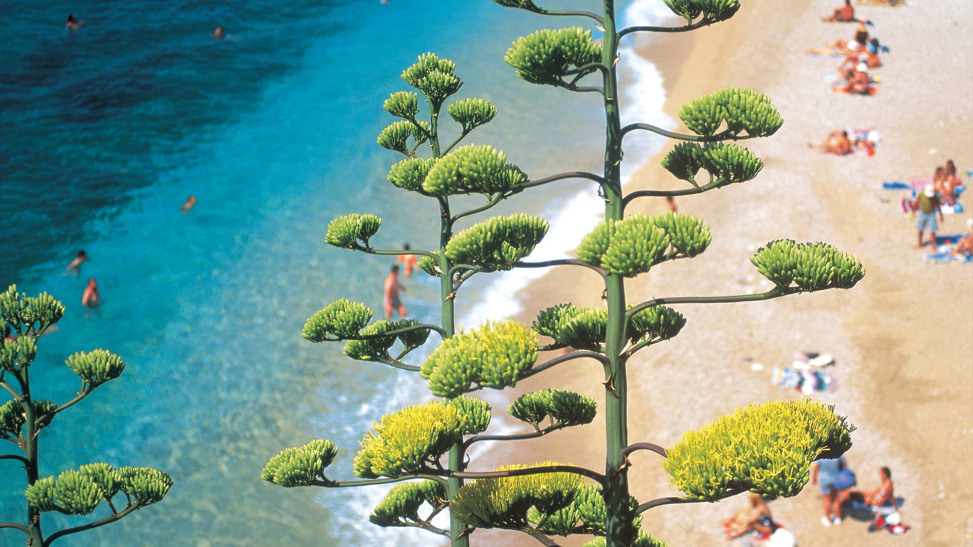 The Dalmatian Coast: Croatia, Corfu & Medieval Cities