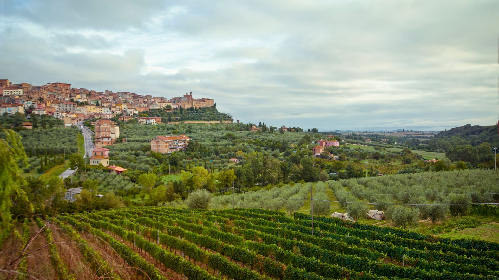 Tuscany to Cinque Terre: Wines, Villages & Unforgettable Walks
