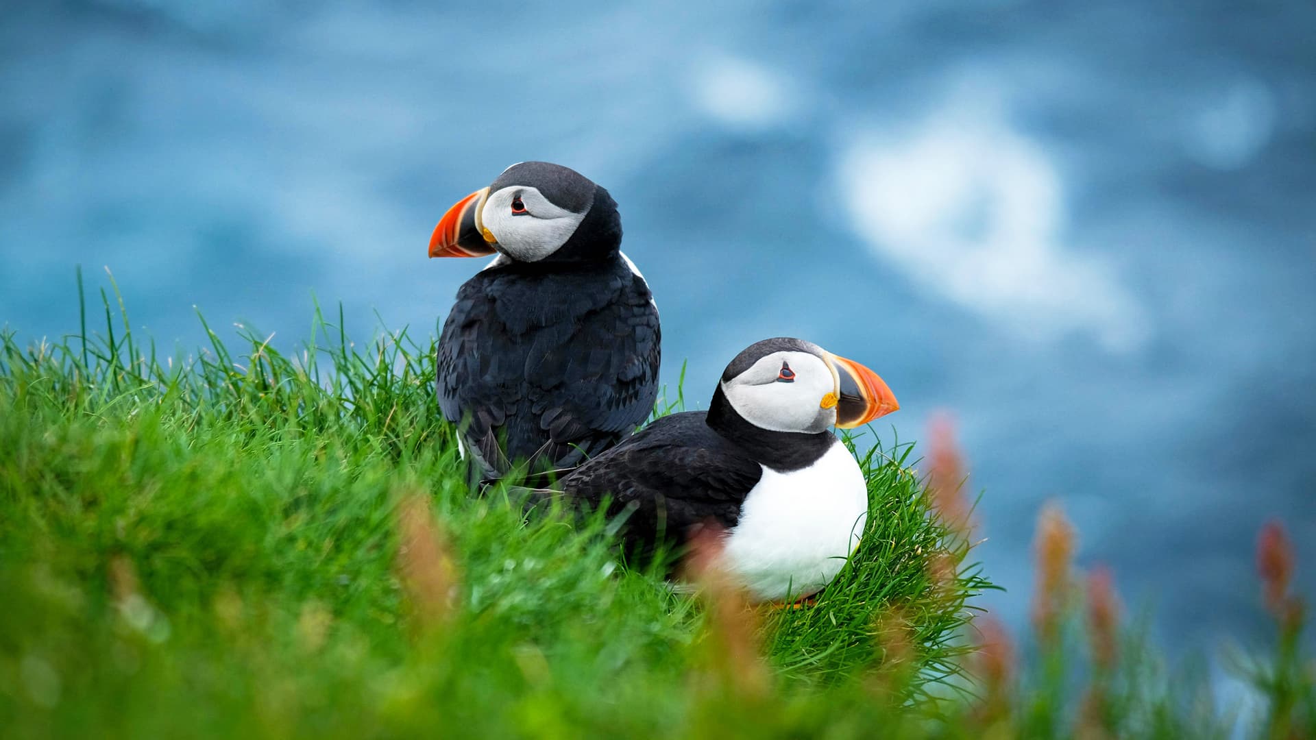 The Scottish Isles: An Expedition Through History & Highlands