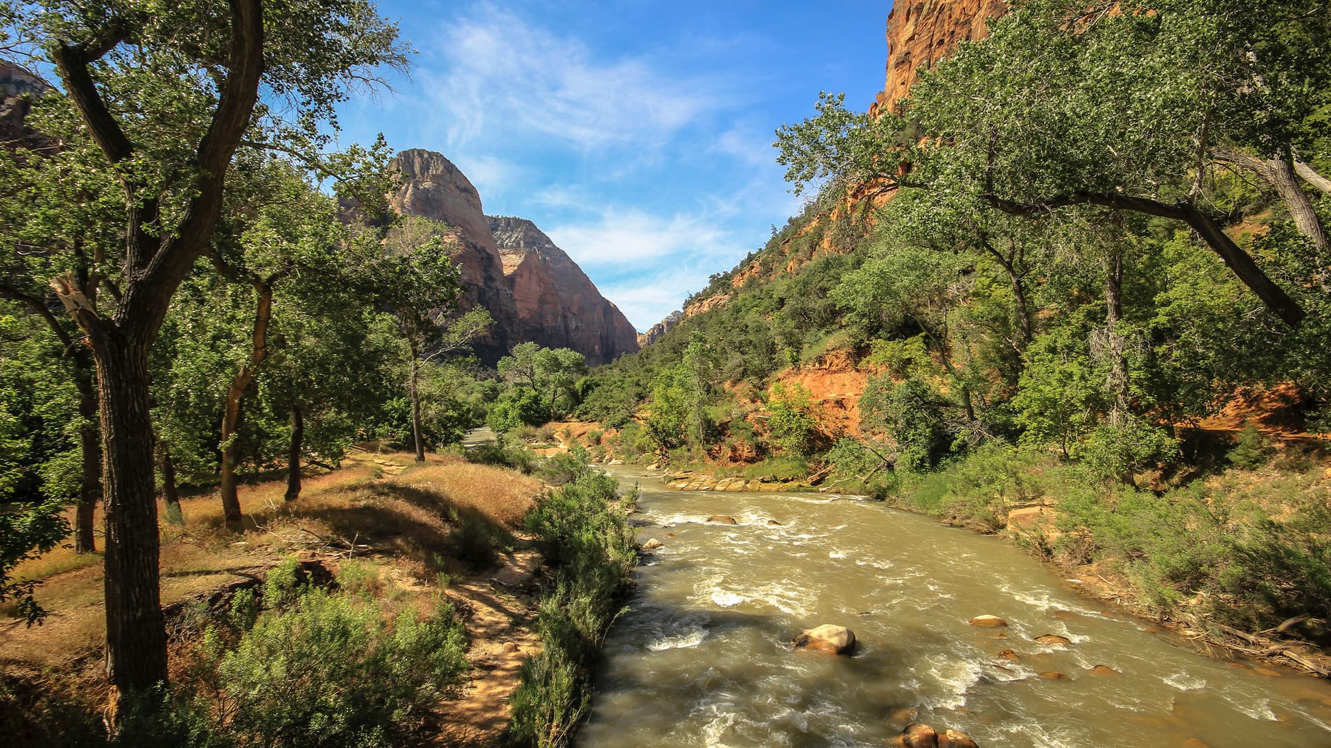 Southwest Road Trip: Zion, the Grand Canyon & Santa Monica Sunsets