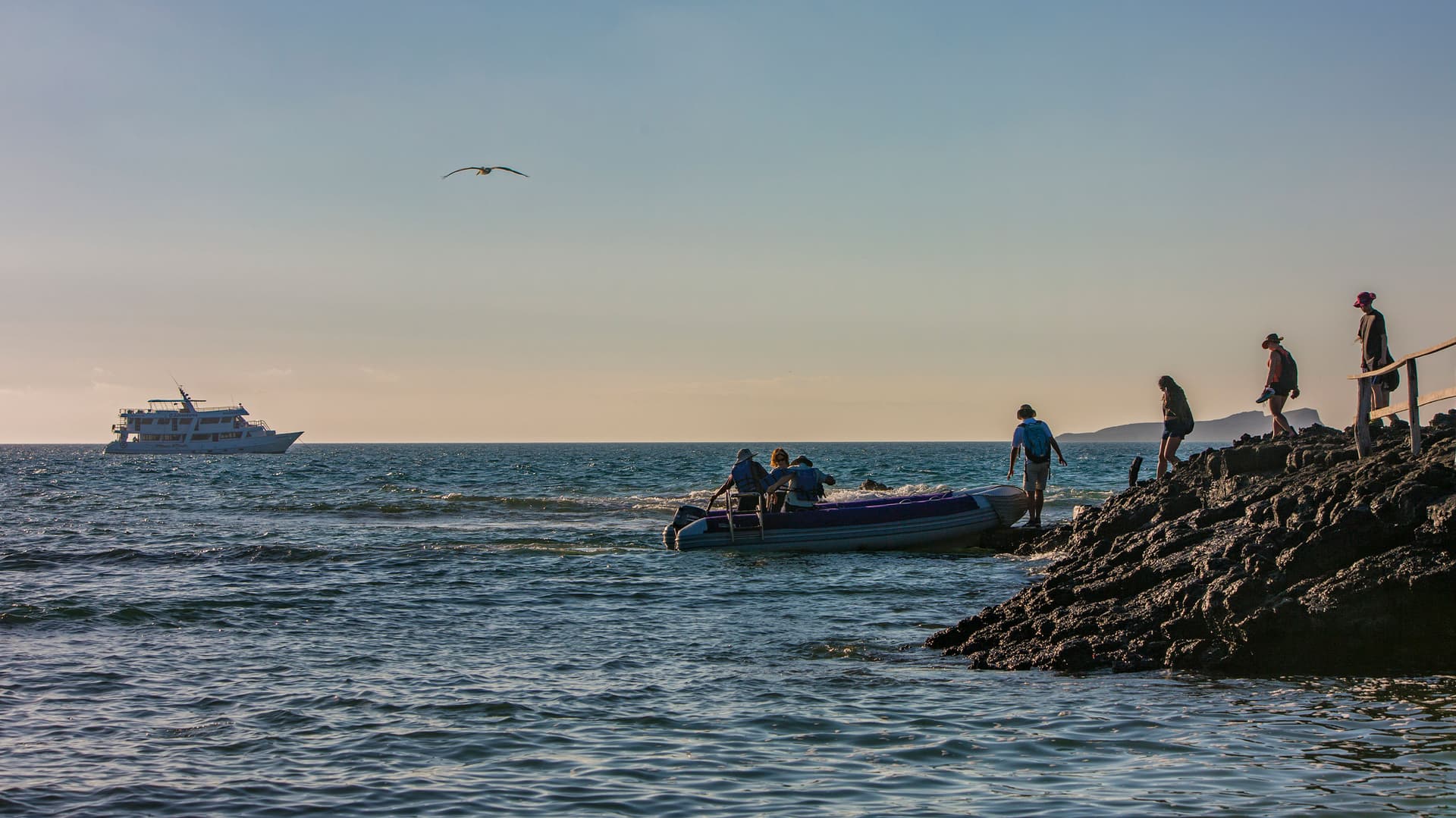 Galápagos — South & East Islands aboard the Eden