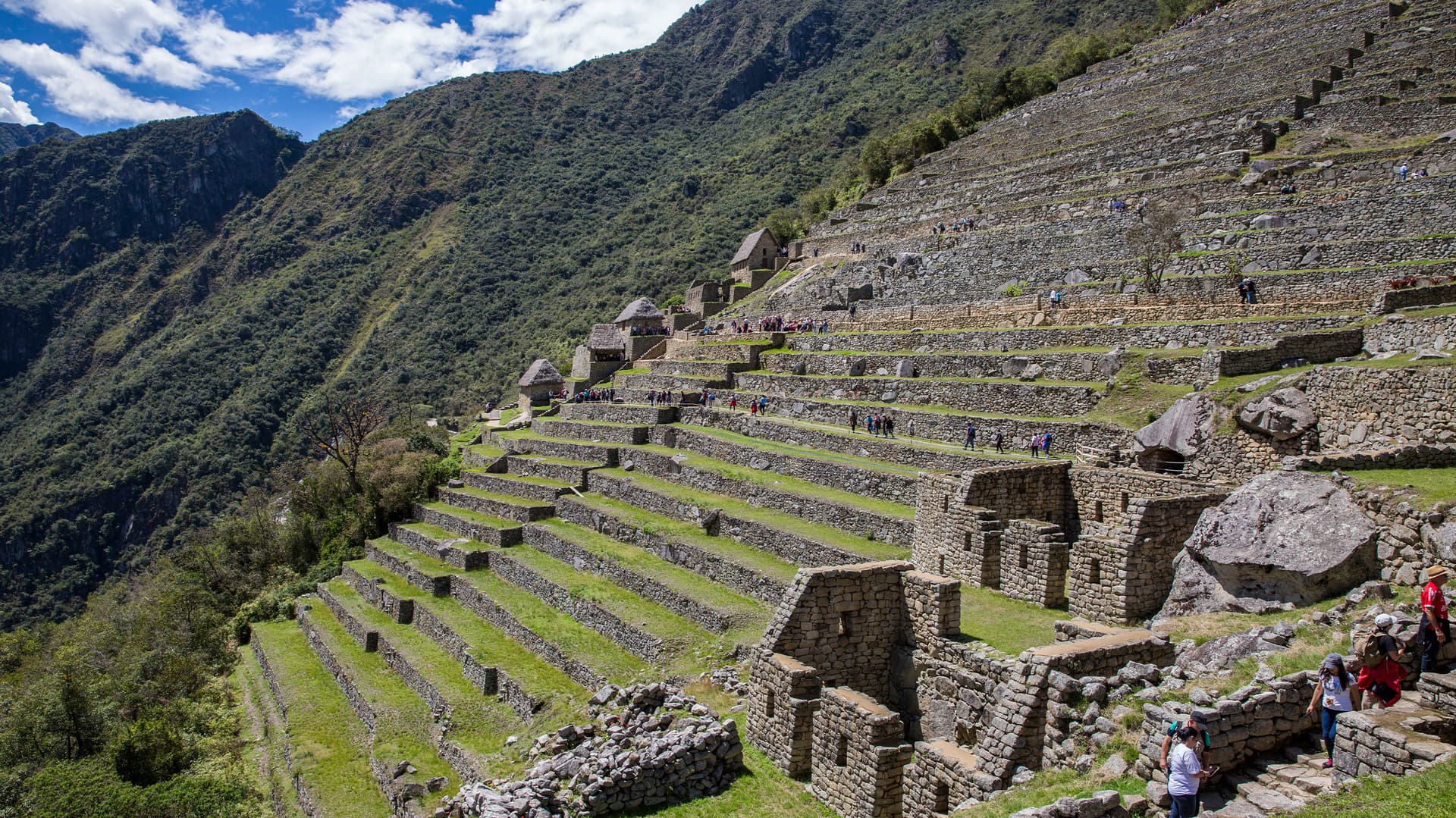 Amazon to Andes with Machu Picchu by Train