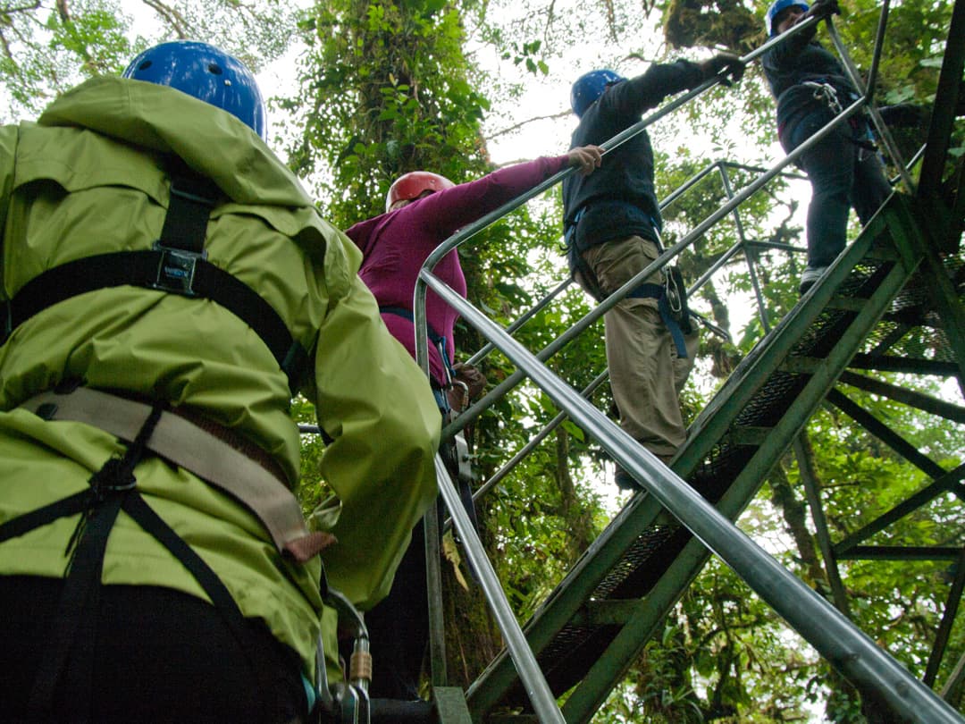 Costa Rica Family Journey: From Rainforest to Coast