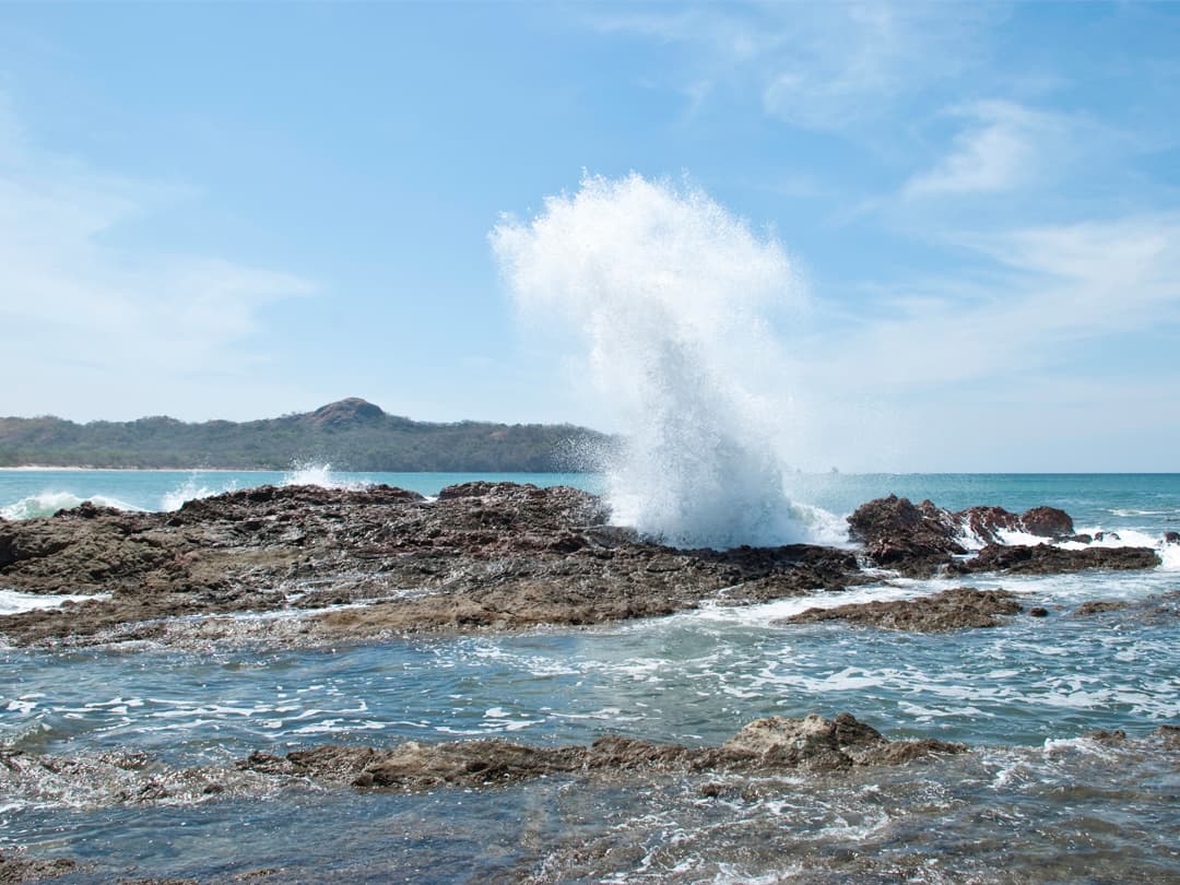 Signature: Costa Rica's Tortuguero, Arenal & Cloud Forests