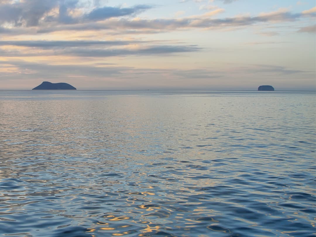 Complete Galápagos - Yolita