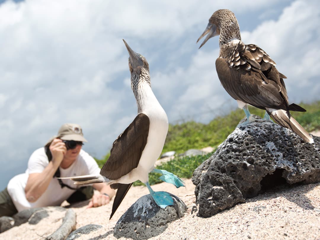 Complete Galápagos - Eden