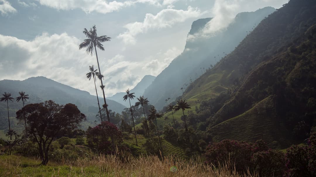 Journeys: Explore Colombia